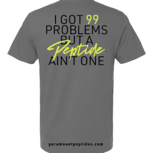99 Problems T-Shirt gray