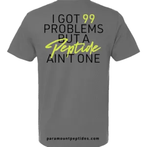 99 Problems T-Shirt gray