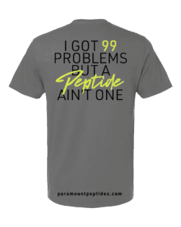 99 Problems T-Shirt gray