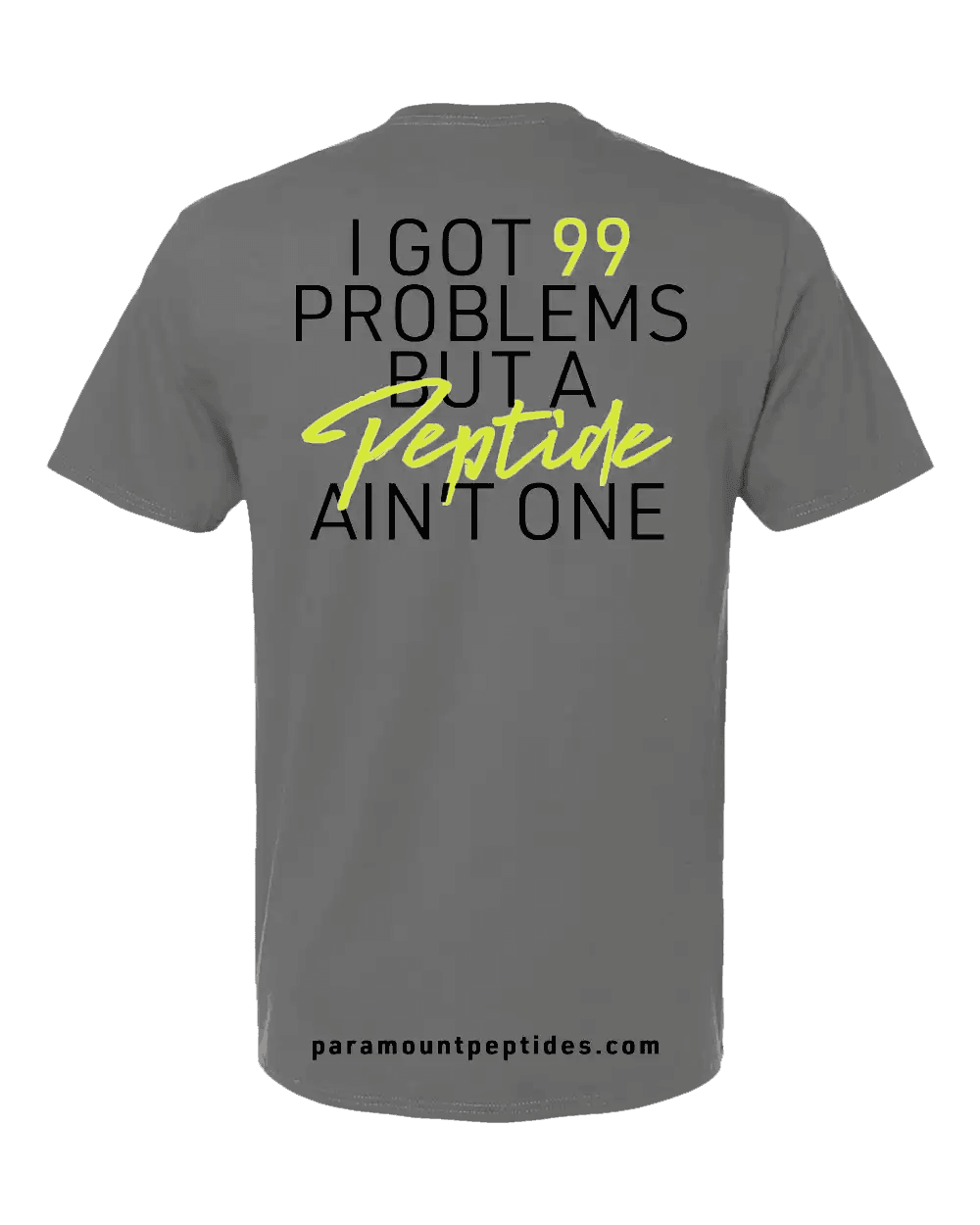 99 Problems T-Shirt gray