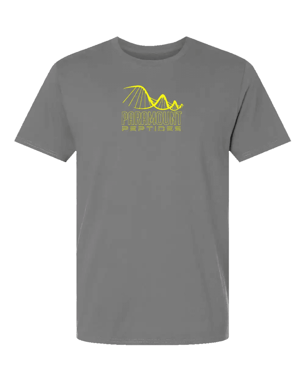 99 Problems T-Shirt gray